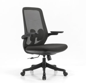 B2-M03 Black colour Low Back Executive Ergonomic office chair _BeleyoChair
