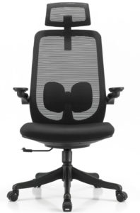 A2-H05 Black colour Ergonomic office chair with headrest_BELEYO