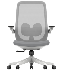 B2-M04 Grey colour Low Back Executive Ergonomic office chair _BeleyoChair