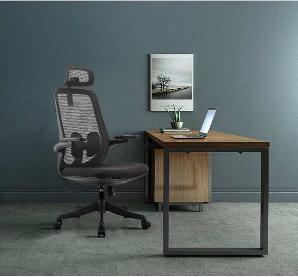 A2-H05 Black colour Ergonomic office chair with headrest_BELEYO - A2 Shaped cotton cushion Ergonomic office chair_Beleyo chair - 2